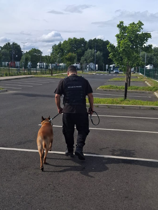 agent-cynophile-newprotect Surveillance Humaine agent cynophile